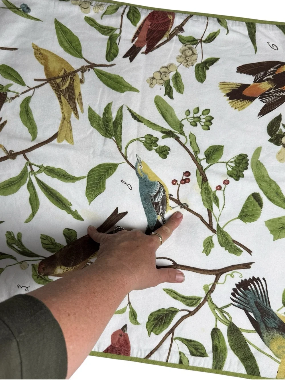 Pottery Barn Pillow Cover Euro Sham Spring Sparrow Birds 23x24” Cottagecore READ